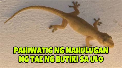 nahulugan ng butiki sa ulo